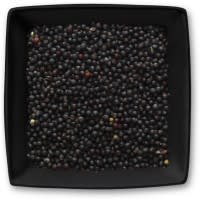 Rübsen Keimfähig Rübsen Keimfähig