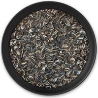 Sonnenblumenkerne groß Sonnenblumenkerne groß