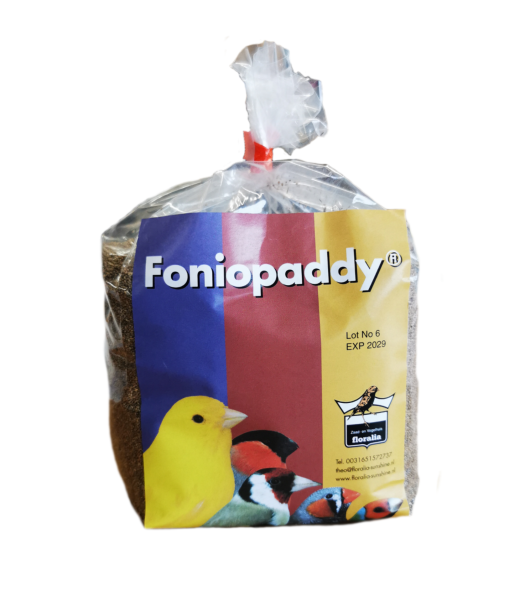 Foniopaddy