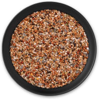 Olympia 48 - Zucht und Jungtauben Olympia 48 - Zucht und Jungtauben