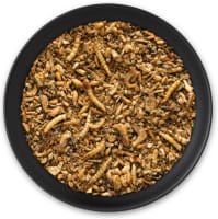 Orlux Insect Patee Premium Orlux Insect Patee Premium