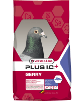 VL Gerry + VL Gerry +