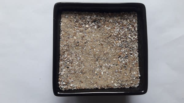 Vogelsand braun