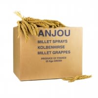 ANJOU - Kolbenhirse gelb Frankreich ANJOU - Kolbenhirse gelb Frankreich