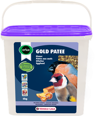 Orlux Gold Patee Waldvogel
