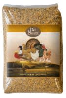 Junghennen Getreide Bruch Junghennen Getreide Bruch