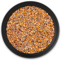 Top Zucht und Reise Top Zucht und Reise