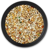 VL Gerry + VL Gerry +