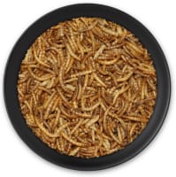 Mehlwürmer getrocknet Mehlwürmer getrocknet