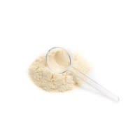 Aves Lori Nectar Aves Lori Nectar