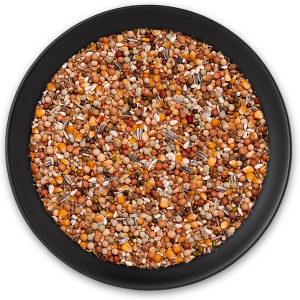 Olympia 47 - Zucht und Reise