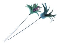 Federwedel Federwedel