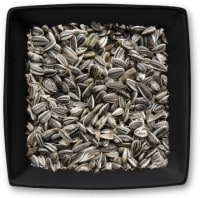 Sonnenblumenkerne gestreift Sonnenblumenkerne gestreift
