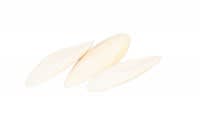 Sepiaschalen mittel Sepiaschalen mittel