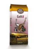 Gallix Ornamental Startmehl Gallix Ornamental Startmehl