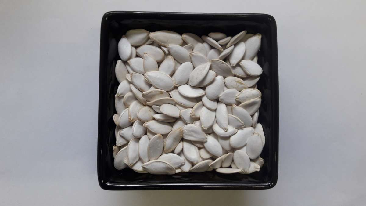 Kürbiskerne mit Schale jetzt günstig online kaufen ᐅ HOHA.at