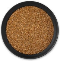 Mohai Hirse Mohai Hirse