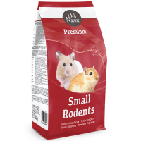 Kleine Nagetiere Kleine Nagetiere