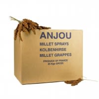 ANJOU - Kolbenhirse rot Frankreich ANJOU - Kolbenhirse rot Frankreich
